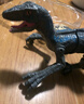 华诗孟遥控恐龙玩具电动智能仿真动物模型会走路发声喷雾侏罗纪迅猛龙 实拍图