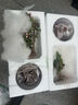 开时果 多肉植物仙人球仙人掌小盆栽桌面植物 肉肉组合办公室内绿植花卉 金冠+黄金沙营养土 实拍图