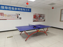 红双喜 乒乓球桌室内标准 大彩虹金彩虹2828比赛用折叠乒乓球台 T3088球桌+送球拍网架+乒乓球 晒单实拍图