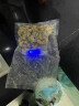 美加佳海鲜什锦2斤（内分2袋装）虾仁鱿鱼扇贝贻贝 海鲜水产 实拍图