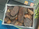 云掌门正宗阿拉善秋冬季特级精选肉苁蓉切片泡酒茶男士肝肾滋补送礼佳品 【进阶调养】肉苁蓉精选大片 500克*1盒 送枸杞 实拍图