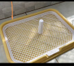 华元宠具（hoopet）狗狗平板厕所大型中型犬比熊泰迪狗用定点上神器尿尿盆便盆防踩屎 实拍图