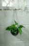 九土 ins风北欧陶瓷花器挂件装饰创意壁挂水培简约垂吊篮挂墙仿真花盆 大号 实拍图