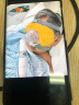 飞利浦（PHILIPS）呼吸机家用双水平无创进口医用打呼噜睡眠排二氧化碳ST模式DSST25 晒单实拍图
