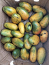 探味君 海南小台农芒果 应当季时令小台芒新鲜水果整箱批发 生鲜 净重8.5-9斤 【严选装】单果90-110g 实拍图
