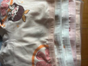 北极绒4条装儿童内裤女童发育期纯棉女孩学生夏季薄平角短裤宝宝中大童 实拍图