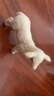 思乐（Schleich S）新年礼物仿真农场家禽动物模型羊驼猪兔羊驴猪火鸡男女孩儿童玩具 小羊13883 实拍图