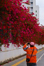 尼康（Nikon）尼克尔 Z卡口镜头 尼康Z系列微单相机镜头 DX Z50-250mm VR便携远摄观鸟拆机镜头 官方标配 实拍图