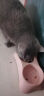力狼猫粮 成猫幼猫通用型天然粮 【升级冻干3.0】冻干猫粮10kg 实拍图