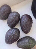 鲜级佳秘鲁进口牛油果鳄梨新鲜水果微催熟爽滑细腻宝宝辅食单果水果当季 巨无霸果 180-210g   6个装 实拍图