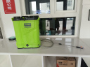 PUANGD高压电动喷雾器农用打药机背负式农药喷洒器灌溉浇花喷壶消毒机 实拍图