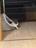 珑小宠猫窝冬天四季通用封闭式猫屋别墅狗窝小型犬加厚猫狗窝猫床猫舍 英短窝大号 实拍图