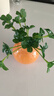 京东鲜花橘子陶瓷小花瓶轻奢摆件客厅插花水培鲜花绿萝绿植桌面装饰高级感 实拍图