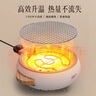 TANXIANZHE探险者电陶炉围炉煮茶套装家用户外电炭两用烤火炉烧烤炉烧烤器具 实拍图