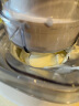美膳雅冰淇淋机家用小型全自动意式gelato冰激凌机制冰雪糕机 冰沙白冰淇淋机 实拍图