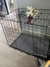 京喜自营-专用品牌猫笼子家用带厕所大自由空间猫舍送货上门 折叠款-黑色双层59*41*50 套餐一：三件套 实拍图