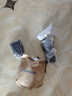 迪卡侬运动短裤男五分跑步快干透气健身训练篮球裤-5647530 实拍图