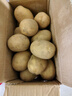 恩施小土豆新鲜马铃薯农家黄心洋芋现挖蔬菜马铃薯 5斤 大果 鹅蛋大小左右 实拍图