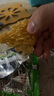 魔法士干脆面20g混合口味整箱干吃方便面魔法师儿时怀旧解馋休闲小零食 【混合口味20包】送2包小鱼 实拍图