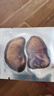 煜树鹿茸全蜡片1克 长白山含血全腊片甄选顶部鹿茸片泡酒  实拍图