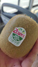 佳沛（zespri）新西兰绿奇异果 8个装单果重约123-135g 源头直发一件包邮 实拍图