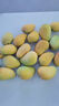 京鲜生 海南小台农芒果1斤尝鲜装  单果70g起 约6-8个 新鲜水果 实拍图
