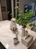 陌花格 吊钟枝仿真植物插花日本摆件客厅样板间绢花装饰品网红绿植摆设 绿色 单枝 晒单实拍图
