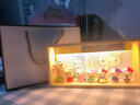 哈喽keiti礼物 盲盒生日礼物凯蒂猫哈喽KT摆件小夜灯女生女孩礼品 KT6款(终将上岸)代写贺卡 实拍图