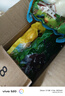 长白山宝地东北粘豆包大黄米芸豆农家手工黏豆包真空包装粗粮杂粮火勺早餐 组合装350g*3袋（1白+1黄+1黑） 实拍图