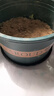 墨斗鱼加仑花盆矮款3加仑*3 简约办公花卉绿萝绿植加厚塑料树脂盆带托盘 实拍图