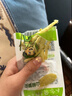 山椒笋尖尖笋脆笋开袋即食小吃零食品小包装泡椒笋干竹笋酸辣笋子 【尝鲜装】山椒笋尖 24g X10包 实拍图