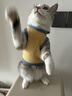 昙蓓漫猫咪衣服防掉毛夏季猫咪狗狗衣服宠物衣服幼猫中小型犬春秋衣服 粉色熊熊头(L码建议6-8斤) 【猫狗通用/透气舒适】 实拍图
