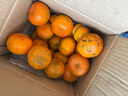 柏馋广西沃柑新鲜纯甜橘子当季时令水果桔子柑橘应季整箱正宗当季 精选5斤净重4.5斤 中果55-65mm 实拍图