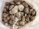 鲜活蛤蜊海捕无沙新鲜花甲贝类生鲜花蛤超大美贝蚬子海鲜水产顺丰 鲜活共5斤（3斤送2斤） 实拍图