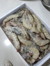 渔游记虾青岛大虾基围虾鲜活青虾白虾海虾对虾冰虾冻虾生鲜虾类海鲜 盐冻青虾16-19厘米 3斤(净重)  精选青岛大虾 实拍图
