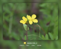 尼康（Nikon）Z50II（Z50ii/ Z502 / Z50二代 )入门级微单套机 街拍Vlog（Z DX 18-140mm f/3.5-6.3 VR） 晒单实拍图