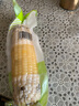 露茵白糯玉米棒新鲜粘黏甜玉米火锅食材蔬菜非转基因真空包装早餐即食10条装 实拍图
