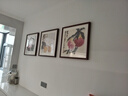 紫腾随轩齐白石装饰画新中式客厅背景墙面挂画卧室饭厅餐厅水墨虾壁画 荔枝A款 50*50cm红木色实木框 实拍图