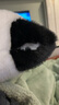 捉趣（ZHUOQU）熊猫毛绒玩具五月龄花花仿真熊猫玩偶公仔布娃娃抱枕元旦新年礼物 实拍图