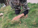 迪普尔新兵战术爬行护膝护肘套装跪地内置护具役前军训练防撞护具M 实拍图