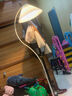 木丁丁奶油风落地灯客厅百褶灯罩书房复古客厅卧室立式灯网红氛围地灯 脚踏按钮开关 4w暖光灯泡 实拍图