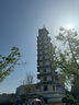 幸棉【王菊同款】中腰收腹裤强力塑身小肚子提臀裤防走光透气安全裤 实拍图