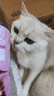 陪伴岁月猫罐头375g猫罐头猫咪湿粮营养宠物零食大容量 混合口味24罐 实拍图