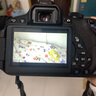 佳能/Canon 500D 600D 700D 800D 850D学生入门拍照摄像高清旅游 二手单反相机 99新 佳能700D+50 1.8 套机小痰盂 标配 实拍图