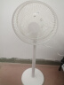 长虹（CHANGHONG） 电风扇落地扇家用立式电扇台扇摇头电扇小型办公室宿舍家用电扇循环空气风扇 5叶小号机械款（标准型） 实拍图