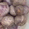 玉燕妃云南正宗新鲜紫皮独头大蒜独蒜干蒜 农家露天自种助农生鲜蔬菜 3-3.5cm紫皮独头干蒜 2斤 实拍图