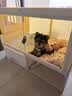 蔻丝狗笼子小型犬带厕所分离狗窝厕所一体比熊泰迪柯基狗别墅家用室内 中号【71*46*52】黄 基础套餐：注塑狗别墅+抽屉厕所 实拍图