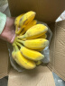 立始广西小米蕉酸甜拇指小香蕉青色硬果(小个品种催熟食用) 净重5斤(小个品种需催熟) 实拍图