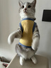 昙蓓漫猫咪衣服防掉毛夏季猫咪狗狗衣服宠物衣服幼猫中小型犬春秋衣服 粉色熊熊头(L码建议6-8斤) 【猫狗通用/透气舒适】 实拍图