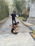 凯锐思 德牧狗粮大型犬粮专用幼犬成犬黑背警犬狼狗牧羊犬专用粮囤货装 【临期清仓】德牧羊奶味20斤 实拍图